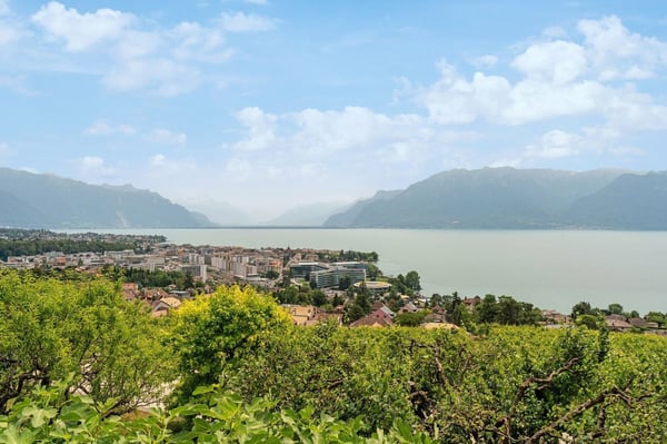 Entre le vert des vignes et le bleu du lac 10