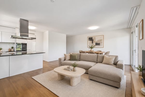 Attique contemporain à Saint-Sulpice 4