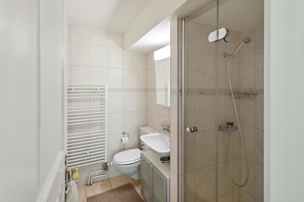 Splendide double appartement rénové avec piscine intérieure 9