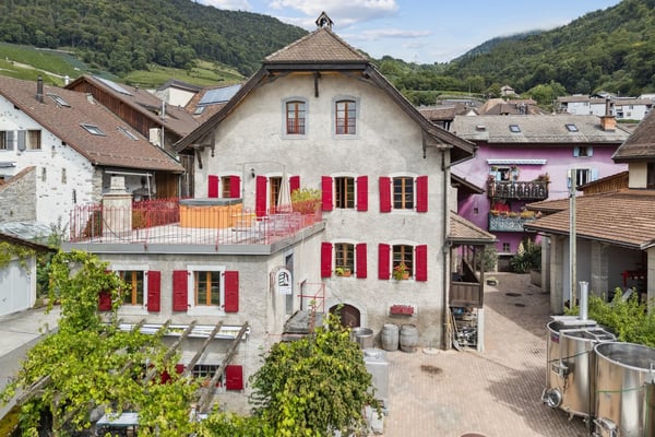 Rare! dans le village d'Ollon authentique maison vigneronne & anne 2
