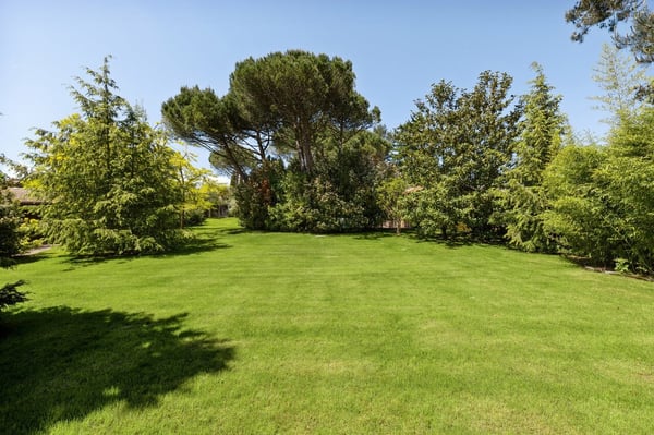 Parcelle rare et exclusive pour la réalisation de votre villa 2