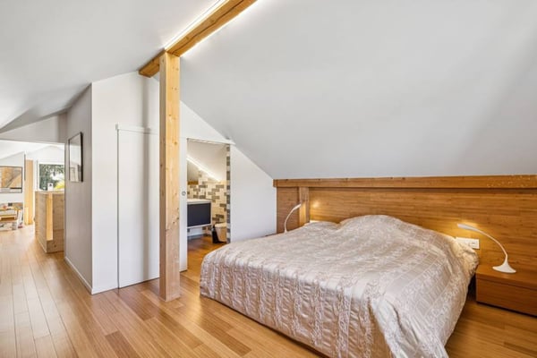 SUPERBE VILLA VUE LAC ET ALPES 11
