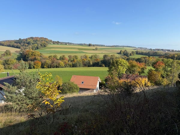 Parcelle constructible avec vue imprenable sur les Alpes ! 11