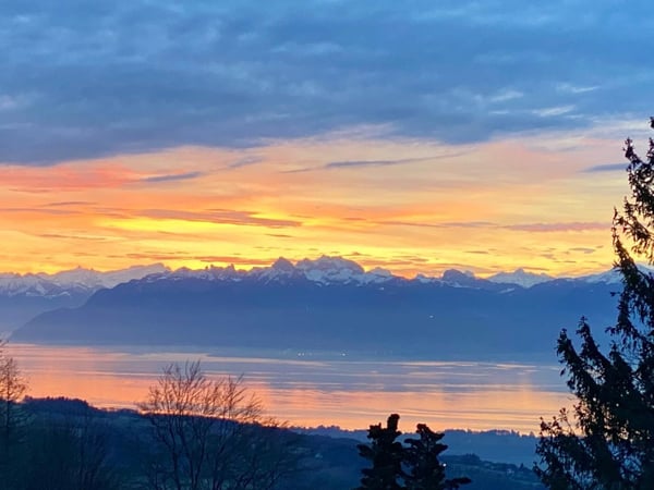 Grande villa vue lac et Alpes 2