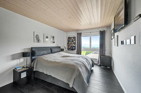 Villa vue sur le lac et les Alpes 11
