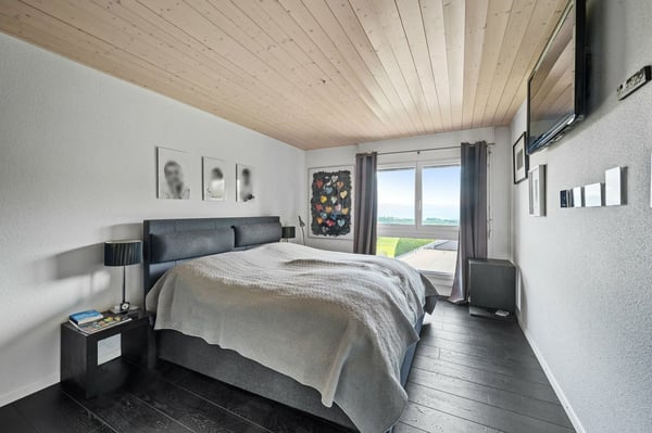 Villa vue sur le lac et les Alpes 11