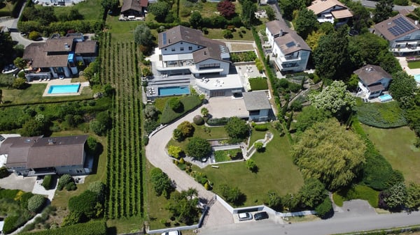 Crans (Vaud)