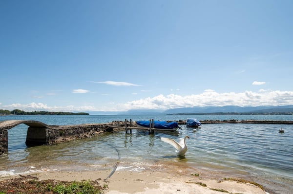 Nyon