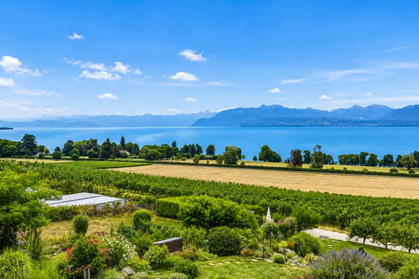 SUPERBE DUPLEX  DE STANDING AVEC PANORAMA D EXCEPTION SUR LE LAC