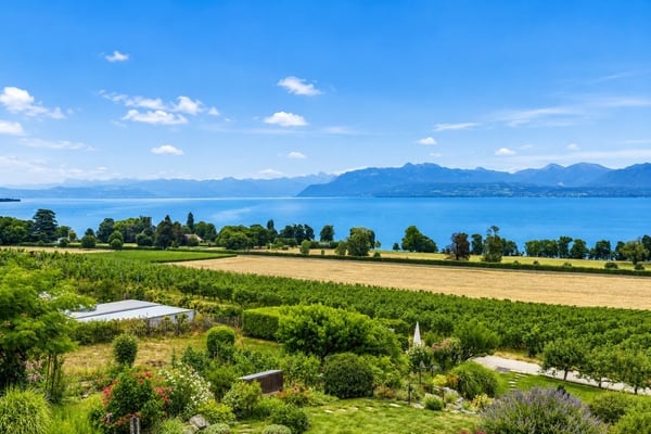 SUPERBE DUPLEX DE STANDING AVEC PANORAMA D EXCEPTION SUR LE LAC 1