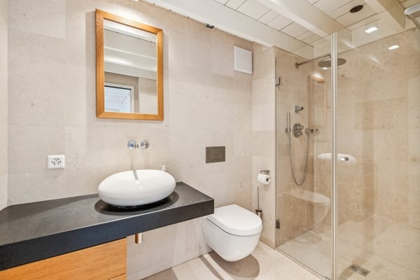 SUPERBE DUPLEX DE STANDING AVEC PANORAMA D EXCEPTION SUR LE LAC 10