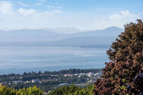MAISON AVEC PISCINE AU COEUR D'UN CADRE BUCOLIQUE, AVEC VUE SUR LE LAC 3