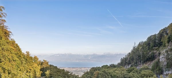 Opportunité - Qualité, tranquillité et vue sur le Léman et les Alpes 7