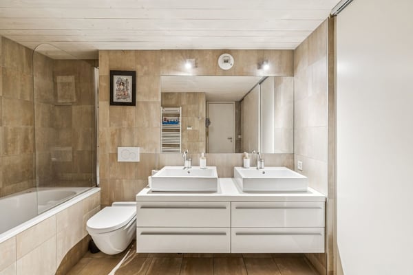 Loft d'exception au Petit-Saconnex 4