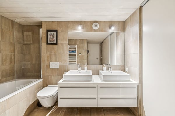 Loft d'exception au Petit-Saconnex 4