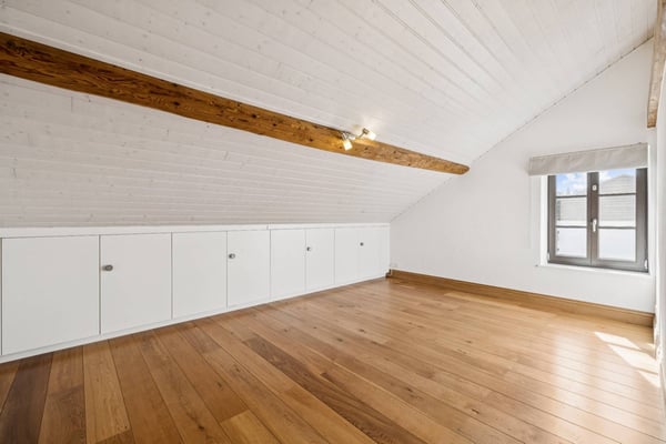 SPACIEUX APPARTEMENT DE CHARME AU COEUR DU VILLAGE DE MEYRIN 9