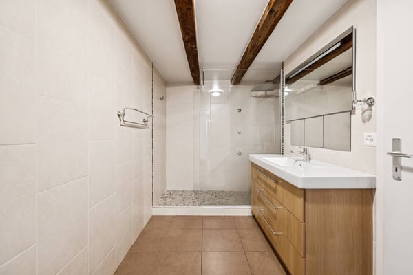 SPACIEUX APPARTEMENT DE CHARME AU COEUR DU VILLAGE DE MEYRIN 8