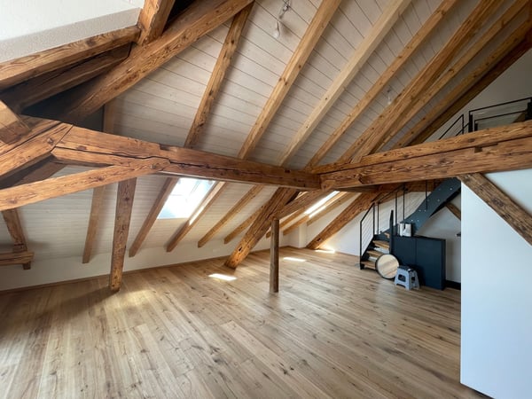 Immeuble d'habitation entièrement rénové avec vue lac 13