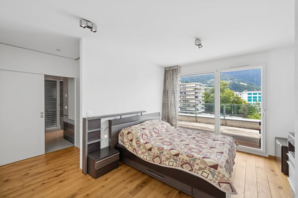 Splendide attique avec vaste terrasse et vue sur le Lac 4