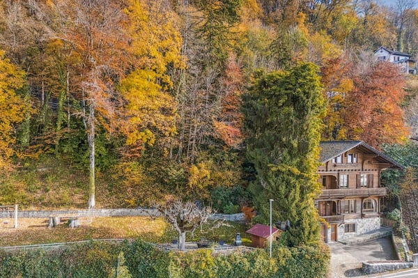 Unique, authentique Chalet, caractère incontestable et vue imprenable 2