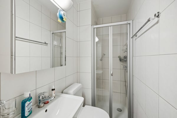 En 1ère ligne du lac, appartement de 1 1/2 pièces ! 7