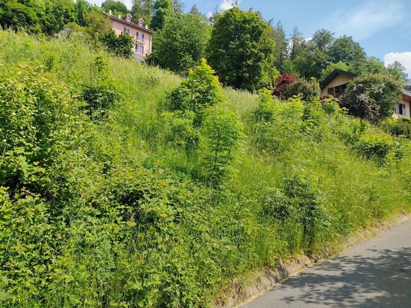 Parcelle avec permis en force et projet pour une villa individuelle 6