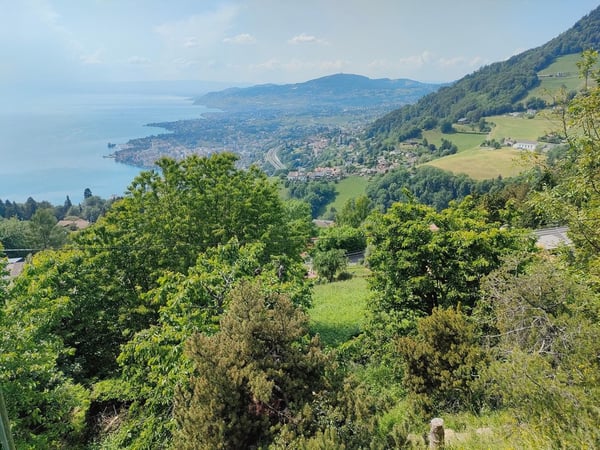 Parcelle avec permis en force et projet pour une villa individuelle 5