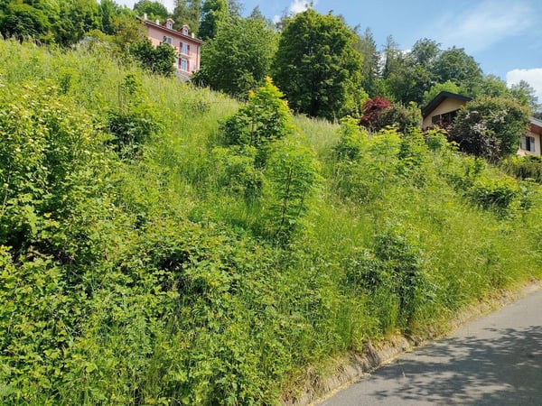 Parcelle avec permis en force et projet pour une villa individuelle 6