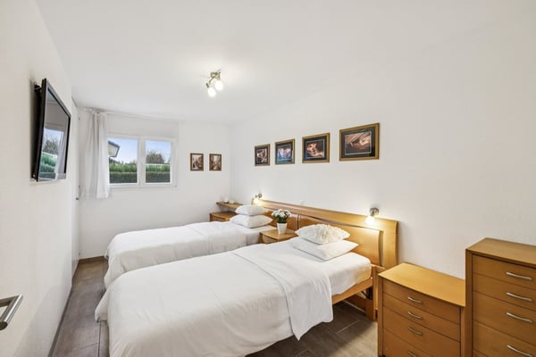 Magnifique villa individuelle, vue imprenable sur les Dents-du-Midi 6