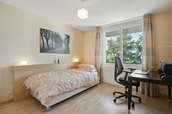 PRESTATIONS HAUT DE GAMME au centre-ville, vue lac et montagnes 11