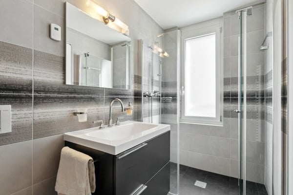 PRESTATIONS HAUT DE GAMME au centre-ville, vue lac et montagnes 12