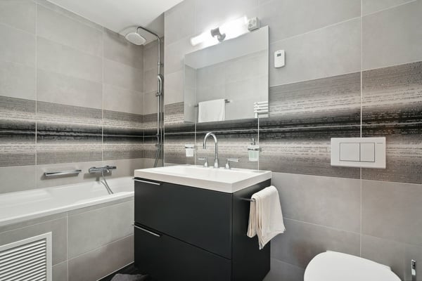 PRESTATIONS HAUT DE GAMME au centre-ville, vue lac et montagnes 9