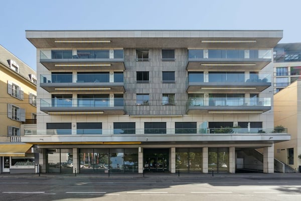 PRESTATIONS HAUT DE GAMME au centre-ville, vue lac et montagnes 13