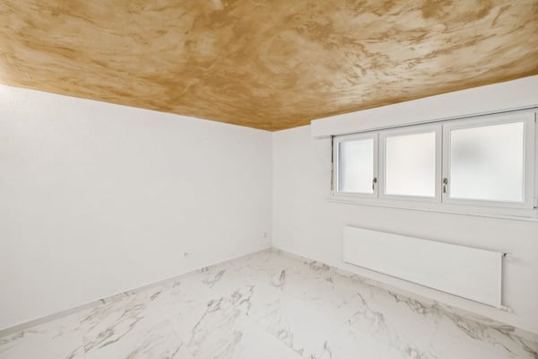 Grande maison individuelle avec grand entresol aménagé 11
