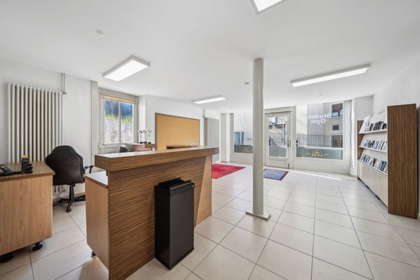 Immeuble mixte sur les hauts de Montreux 3