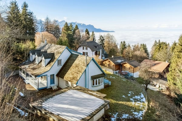 L'Écrin du Léman - Villa d'Exception à Caux 2