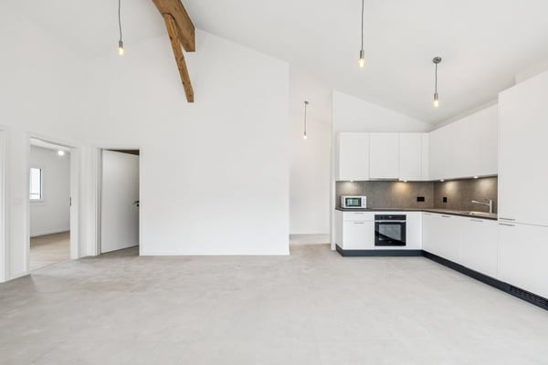 Maison de 2 appartements entièrement rénovés ! 4