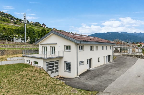 Maison de 2 appartements entièrement rénovés ! 13