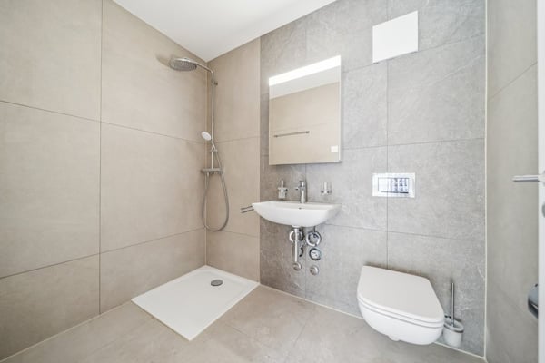 Maison de 2 appartements entièrement rénovés ! 6