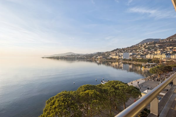 Aperçu de l'image de l'immobilier