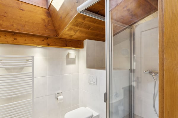 EXCLUSIVITE - CHALET ATYPIQUE - CENTRE VILLAGE sur 2000 m2 de terrain 7
