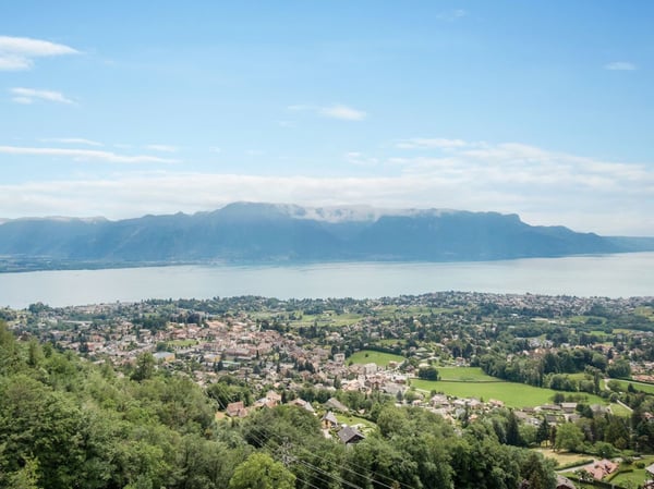 Aperçu de l'image de l'immobilier