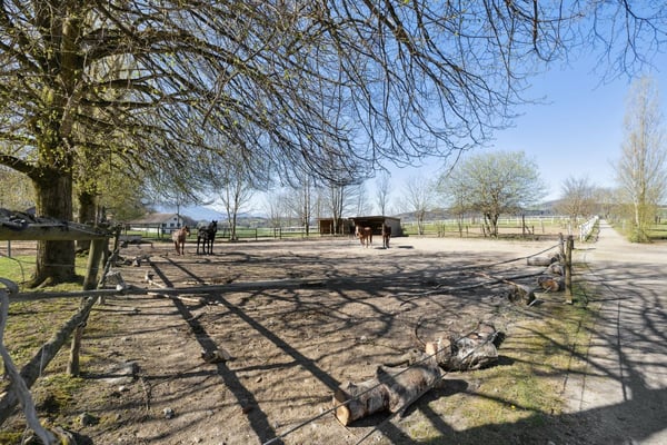 Exclusivité SOTHEBY'S Centre Equestre avec rendement 11