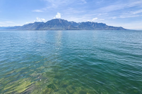 Adresse d'exception - Première ligne du lac - Demeure entièrement réno 11