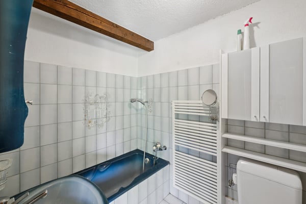 Maison de 3 appartements, aux généreux volumes et vue imprenable sur l 12