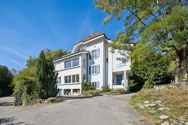 Propriété de 12.5 pièces au coeur de Blonay avec vue sur le lac