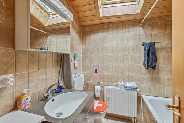 Chalet locatif de 3 appartements loués - 5.6% de rendement brut 12