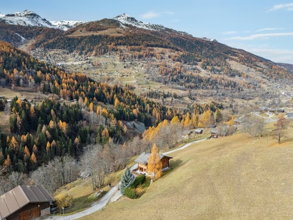 Magnifique chalet avec 1000 m2 de terrain 3