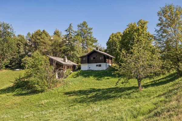 Chalet aux Mayens de Chamoson - Vue & Potentiel
