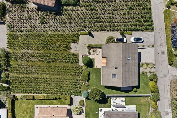 Élégance et volumes au coeur des vignes de Conthey 12